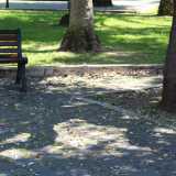 ad esempio le foglie degli alberi cadute non sono quasi mai spazzate� 